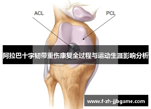 阿拉巴十字韧带重伤康复全过程与运动生涯影响分析